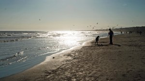A random dad with a random daughter enjoying a nice late afternoon on the beach at Isle of Palms. To clarify: I am quite certain the random daughter was not random to the random dad. And vice-versa.