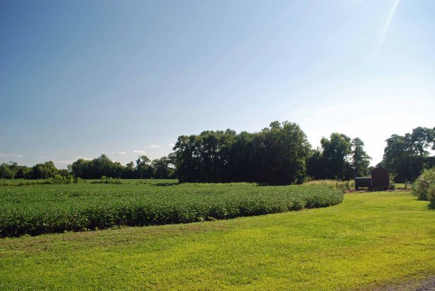 Fresh corn and bright blues skies. 'Bout as good as it gets.