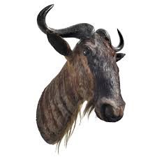 Just minding my own business...